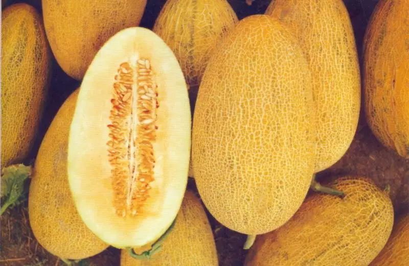 五月一日游布尔津,7月新疆布尔津旅游攻略