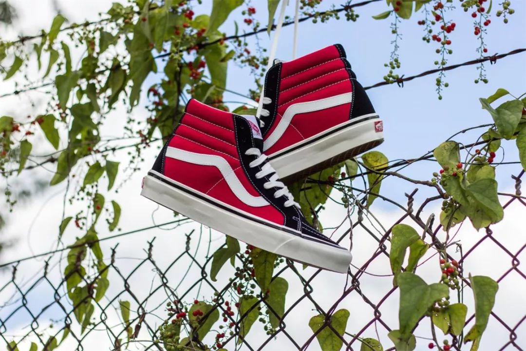 vans安纳海姆和era的区别,vans安纳海姆和authentic区别