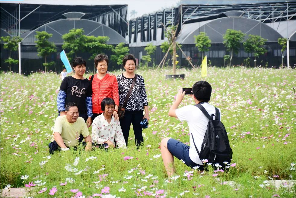 斗门为什么叫斗门,外地人眼中的斗门