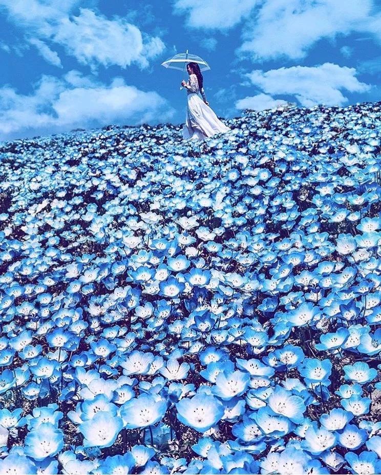 一个丑女穿上裙子惊艳所有人,女兵穿上裙子惊艳全场