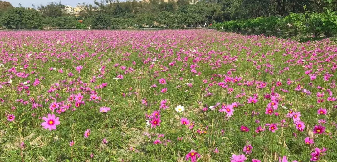 去日本从哪里出发便宜,去日本从哪里出发最便宜