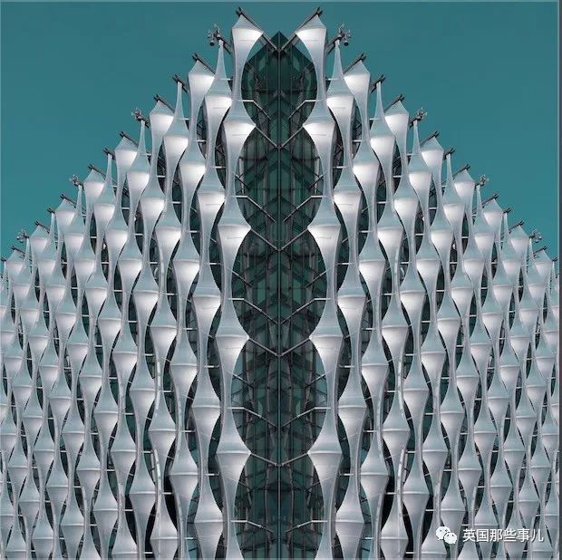 世界索尼摄影大赛作品背后的故事 (2018年索尼摄影大赛获奖作品中国)