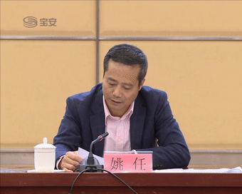 宝安区机构改革进展,深圳宝安区的机构改革方案