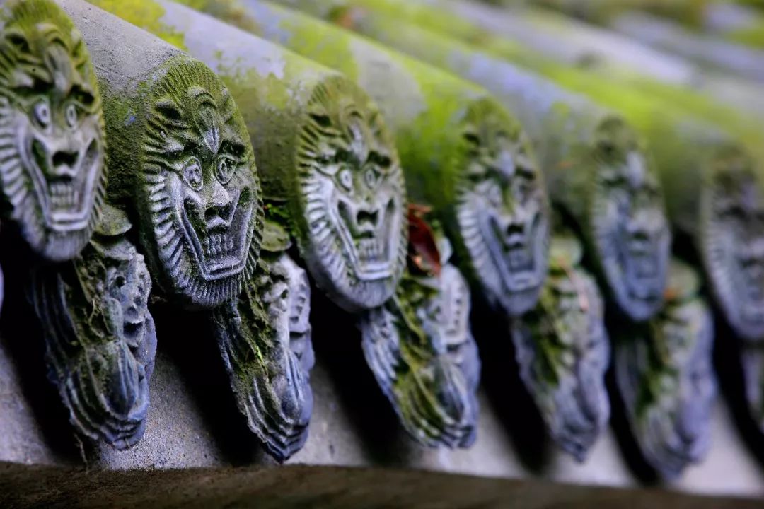 夜话丨听，这是春天的声音