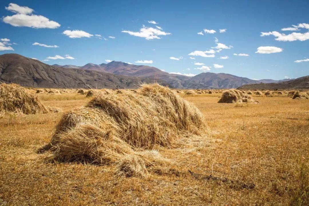 3次创业失败经历,3次创业成功的案例