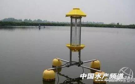 用灯光养树可以吗,用灯光可以养植物吗