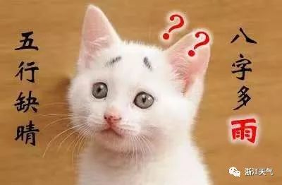 召唤流浪太阳赢大奖｜周末有望见阳光