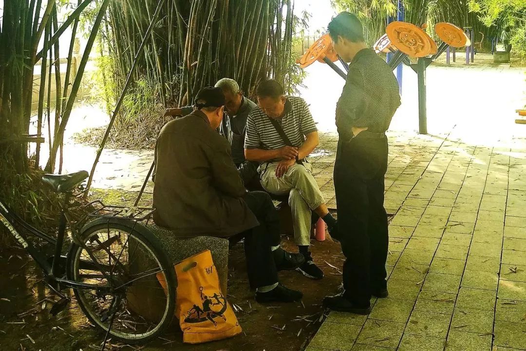 郑州适合骑车去玩的地方,郑州周边适合骑行的公园