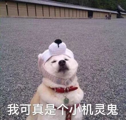 如果地球去流浪会遇到哪些困难,地球真的有必要去流浪吗