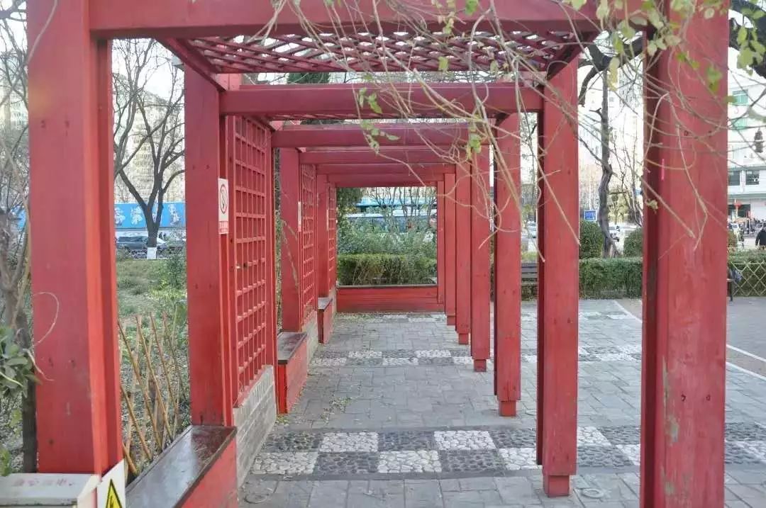 牛街有名的清真美食,打卡北京牛街清真美食