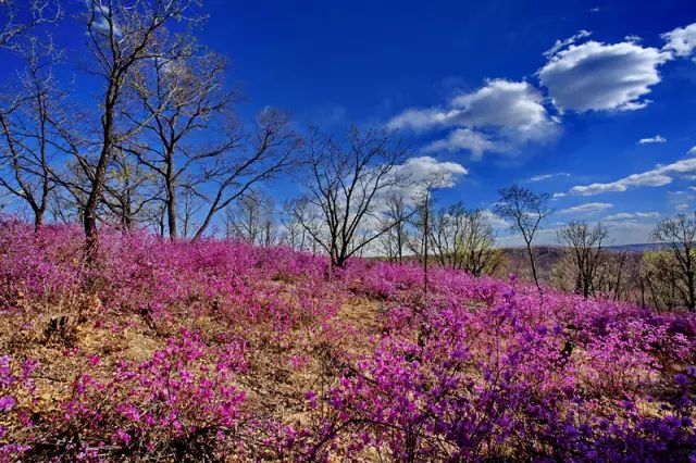黑河攻略,黑河出境自由行攻略