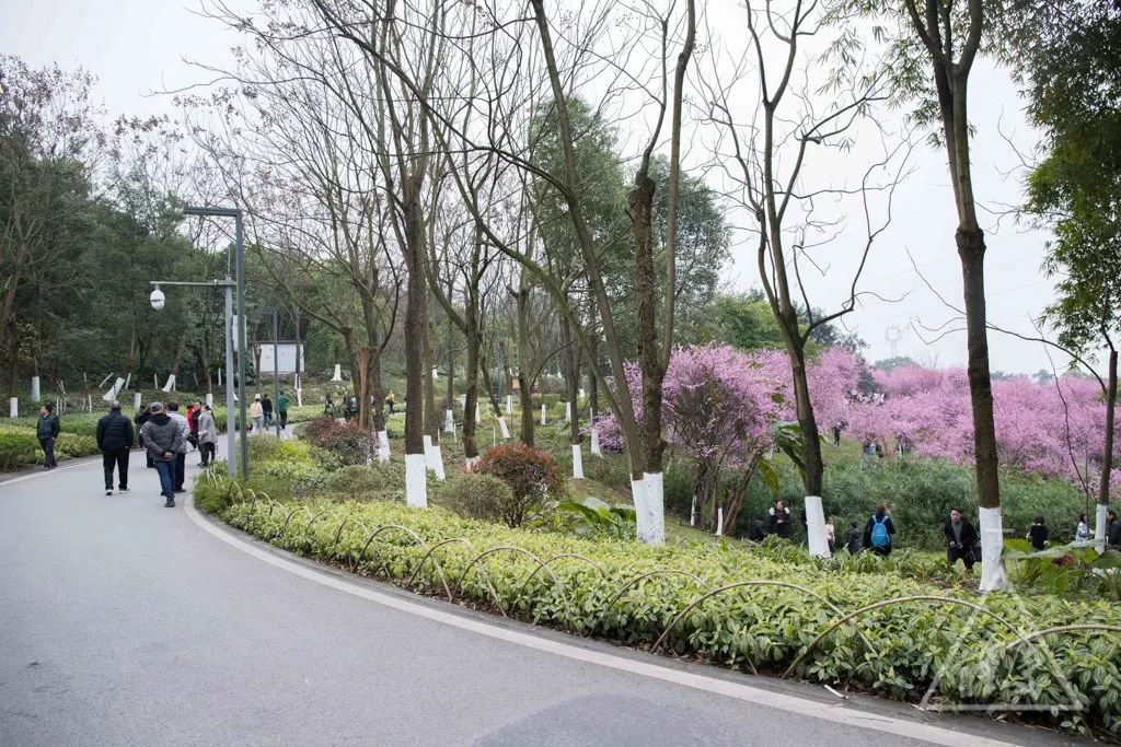 2019年9月份重庆免费活动,2019重庆新打卡地