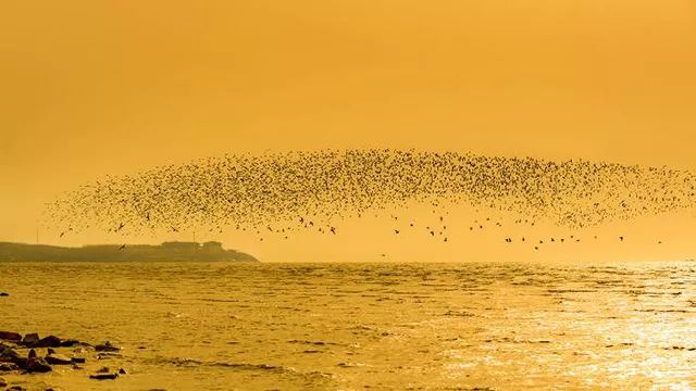 营口市生活指南,营口生活指南
