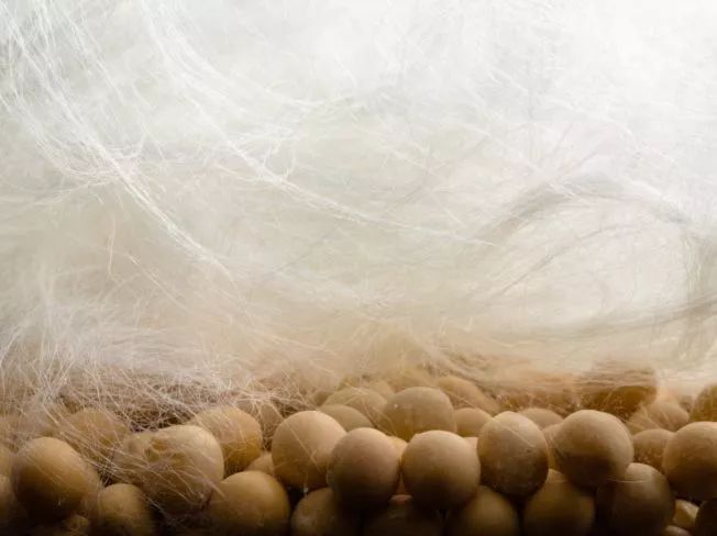 除醛抗菌国家专利,去脚臭汗防臭除菌杀菌神器清香型