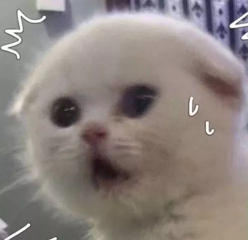 跟着明星吃胶原蛋白,跟着明星吃一天体重会有什么变化