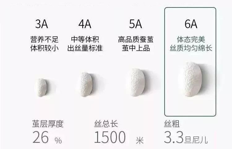 *裤内**没选对到底多可怕？95%的女生都不知道