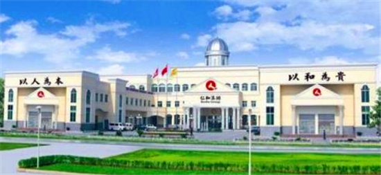 仁和药业后市怎样,仁和药业综合战略分析报告