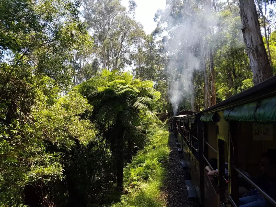 墨尔本是个包容性极强的城市,墨尔本是世界宜居城市吗