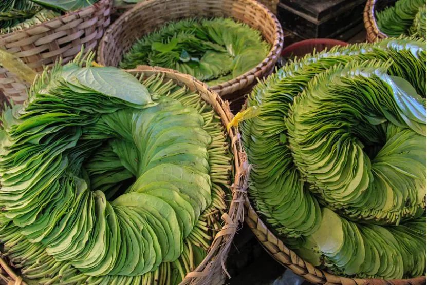 软性毒品卖出千亿帝国,销售有毒有害食品一百万