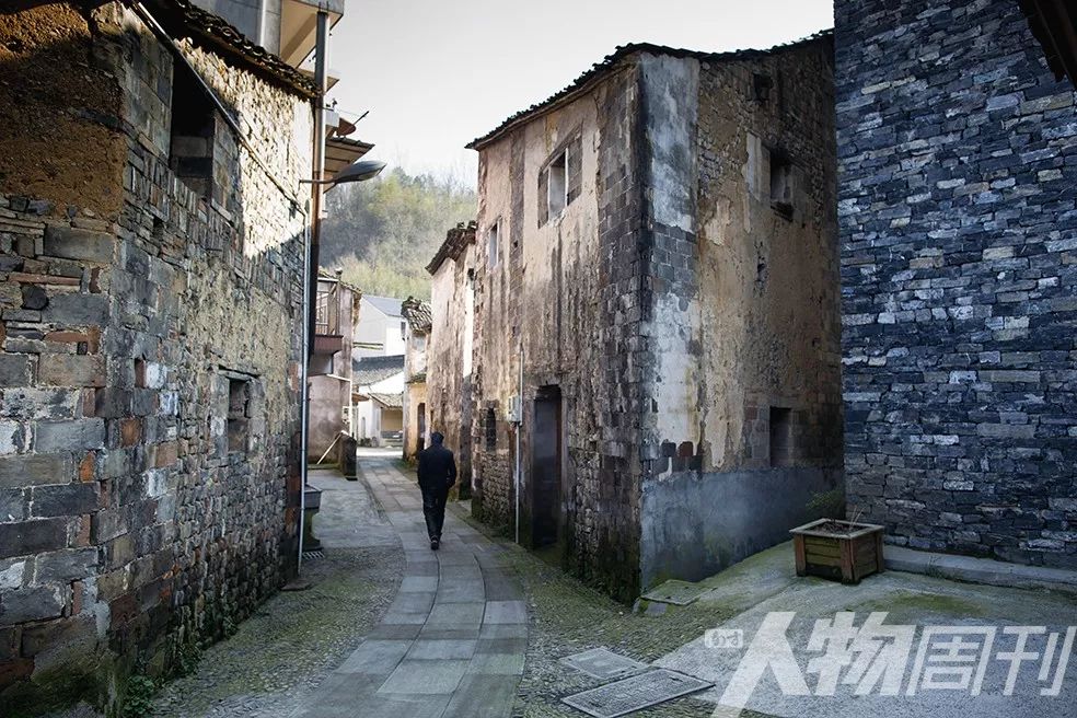 乡村拯救者,王澍与乡村