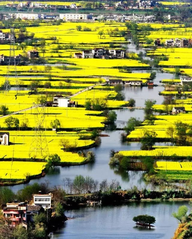 这家扎根在花海的悦榕庄即将迎来暖意春天！千元直降还含SPA,高铁1.5h!