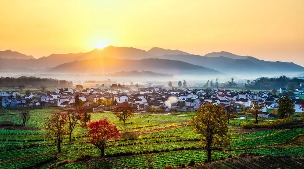 这家扎根在花海的悦榕庄即将迎来暖意春天！千元直降还含SPA,高铁1.5h!