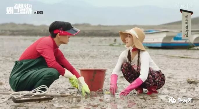 济州岛最美民宿,济州岛超美民宿