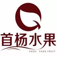 百果园在国内企业排名,中国前十水果公司