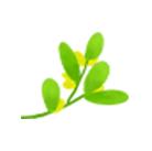 cctv3浠婃櫄鑺傜洰鐩存挱,cctv3浠婃櫄鐩存挱