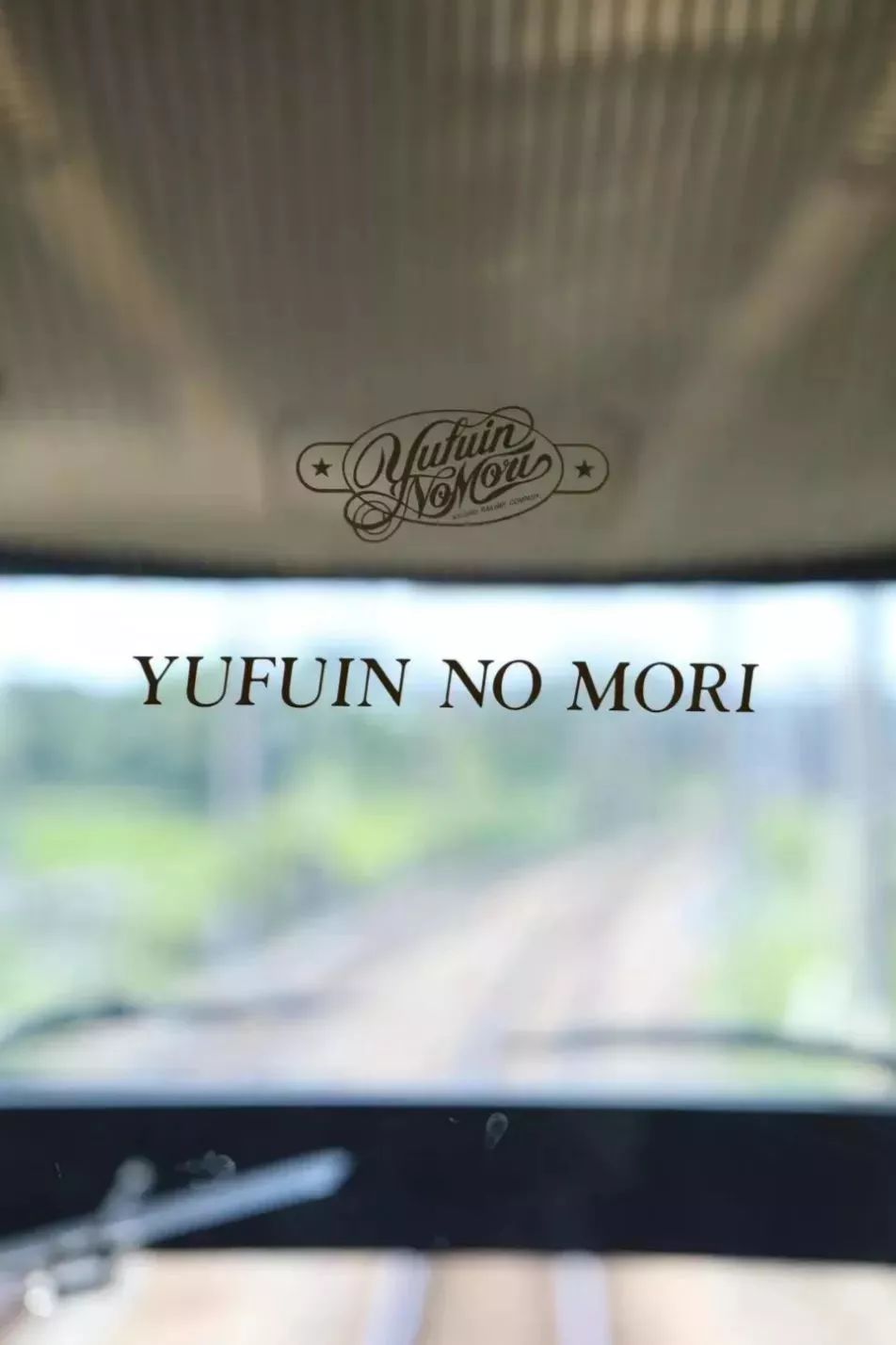 九州福冈樱花,九州樱花季旅游