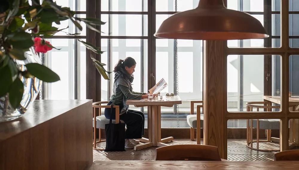 九州福冈樱花,九州樱花季旅游