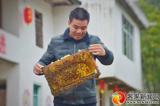 人勤春来早春耕致富忙图片,人勤春来早奋斗正当年