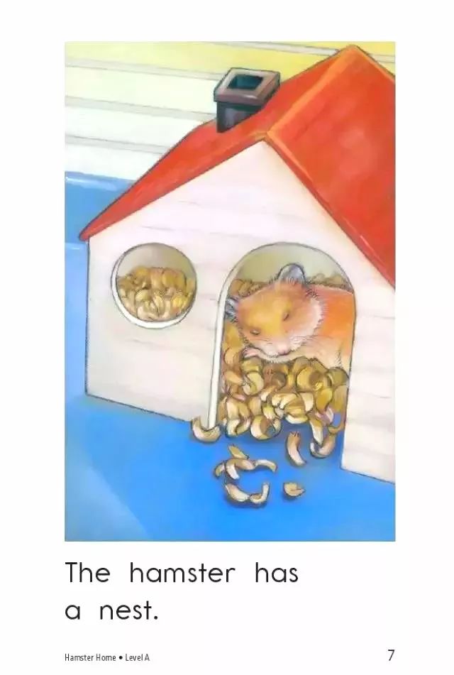 「英语轻松学」之《HamsterHome》仓鼠的家