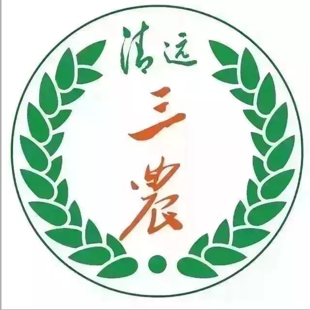 广东清远敏惠集团招工吗,清远敏惠最新招聘