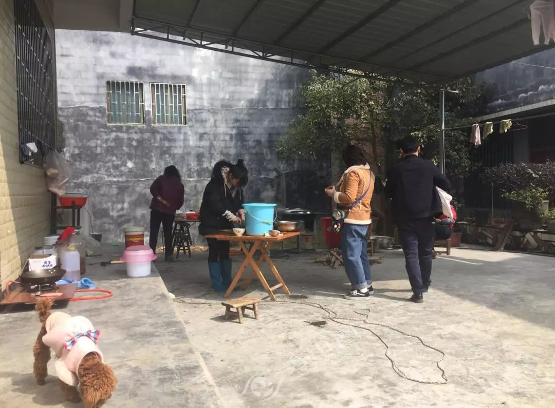 这些东西统统免费却让人幸福感爆棚！有多少秀山人享受到了？