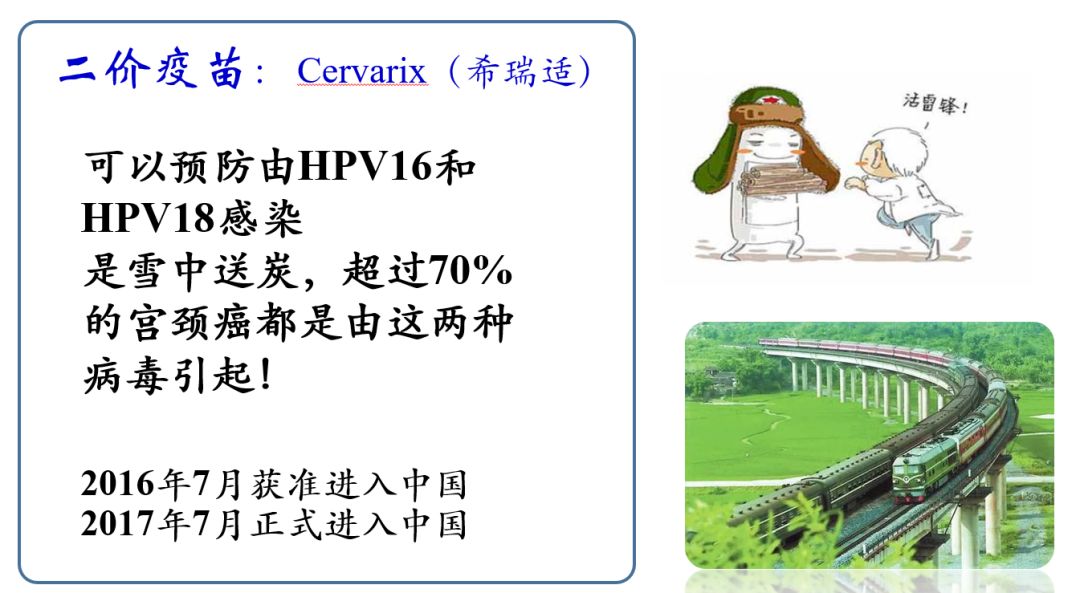 人乳头瘤病毒（HPV）的再次真情告白