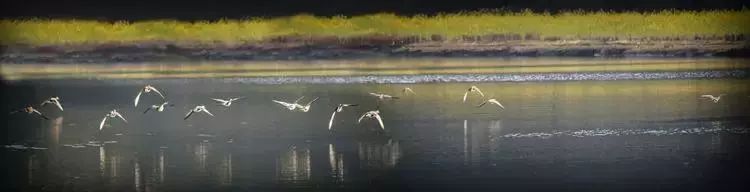 这是一份来自三明的“春天使用说明书”，请仔细阅读！