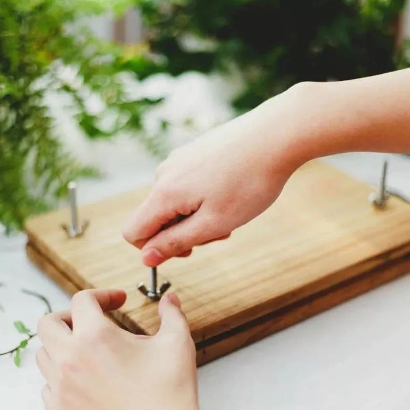 永生花diy手工,1700块的永生花