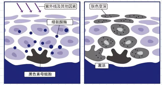 你知道自己黑化后是什么样吗,你知道你黑化之后是什么样子吗