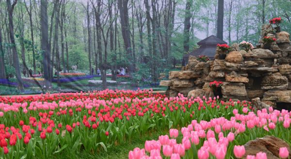 鹿泉网红打卡地免费,鹿泉太平河网红打卡圣地