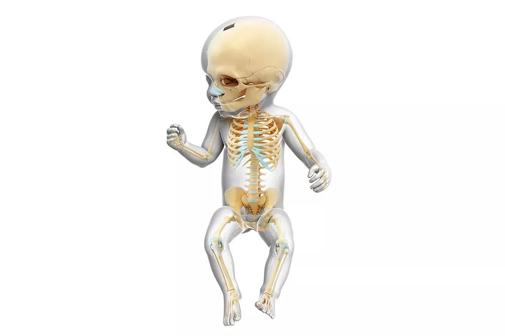 新生儿必备各种宝宝枕头,新生宝宝的枕头需要清洗吗