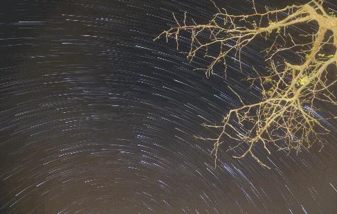 沙漠一年出现的奇观,沙漠黄河的奇景