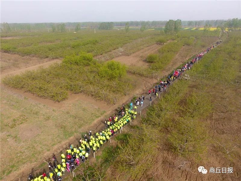 黄河故道湿地最新消息,第五届黄河故道林海湿地徒步穿越