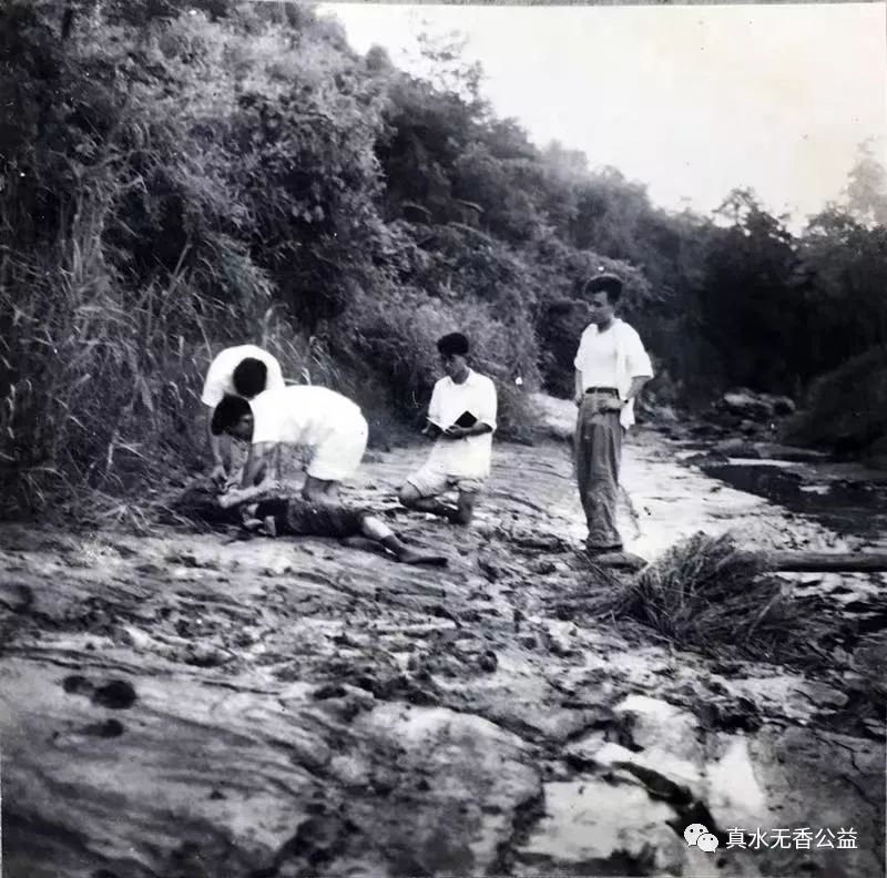 现实中的女法医对尸体尸检,中国法医解剖全过程