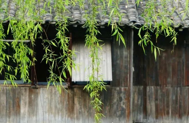 人民日报整理100个最常误用的成语,人民日报总结的常被误用的成语