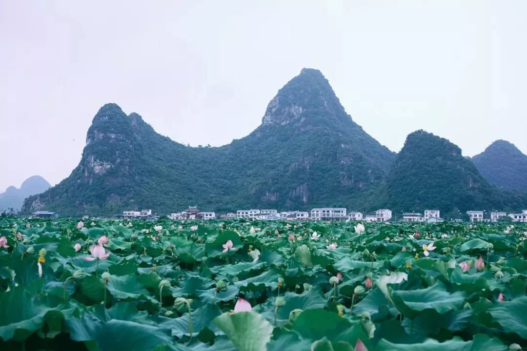 广西有座小城,广西隐藏千年小城