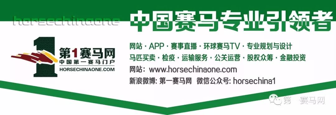 香港马王即将诞生！18/19年度冠军人马奖各奖项候选名单出炉