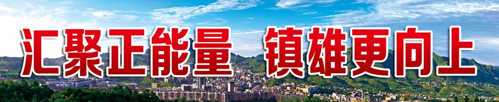 萨嘎县第七届税务杯足球比赛,镇雄足球赛