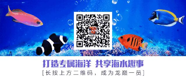 parasites寄生虫,sps虫