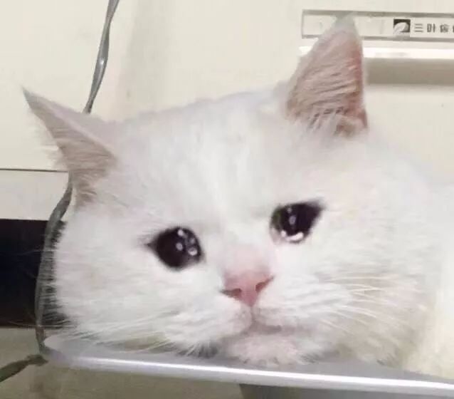 新骗术警方提醒,新动向骗局揭秘